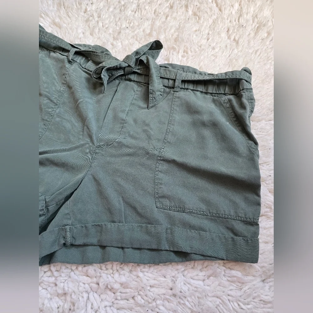 Aerie Women's Green Flowy Shorts